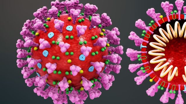 Foto: Imagem Ilustrativa