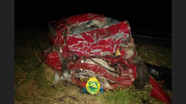 Motorista morre após atropelar animal e colidir com caminhão na PR-092 / Foto: PRE