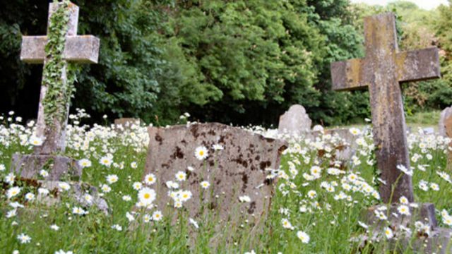 Falecimentos: Ivaiporã e região