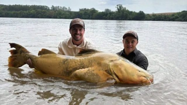 Reprodução / Foto: CGM