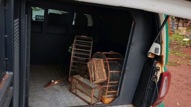 Foto: Divulgação/Polícia Ambiental