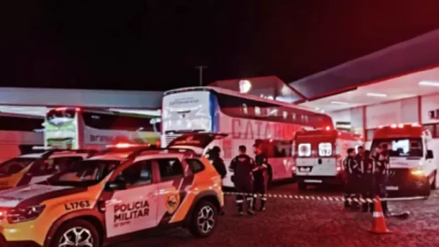 A suspeita é que ela atuava como Mula / Foto: Reprodução / Rede Massa