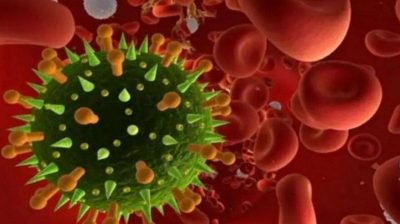 Covid-19 0602 coronavírus