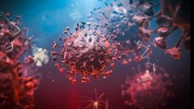 Foto: Ilustração/ Reprodução