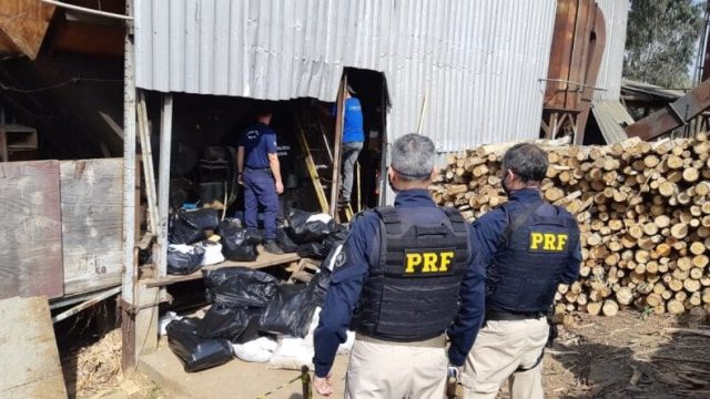 Foto: PRFPR -
Divulgação