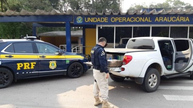 Foto: PRFPR/Divulgação