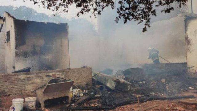 Foto: Corpo de Bombeiros/Divulga
cão