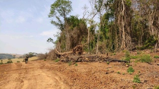 Foto: BPAmb 2ª CIA 3ºPel. Apucarana/Divulgação