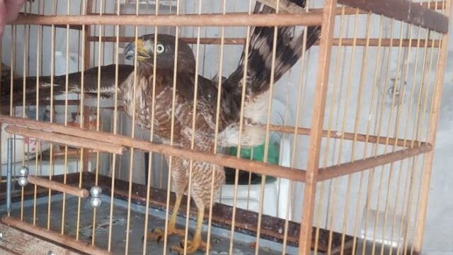 Foto: Blog do Berimbau