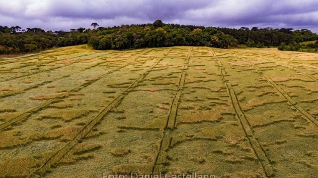 Marcas misteriosas Foto: Daniel Castellano/Reprodução Facebook