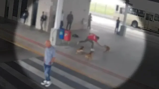 Ataque ocorreu no dia 7 de fevereiro / Foto: Divulgação