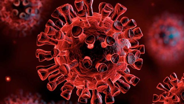 Confirmada oitava vítima fatal da Covid-19 em Jardim Alegre