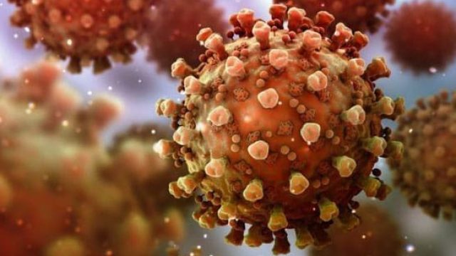 Jardim Alegre registra mais nove casos de Covid-19 neste sábado