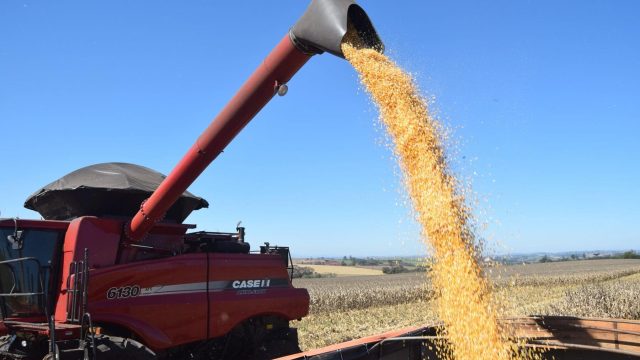 colheitadeira Foto: Ivan Maldonado