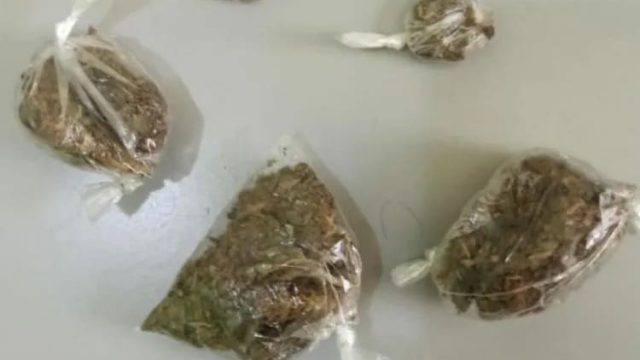 Imagem meramente ilustrativa / Foto: Reprodução