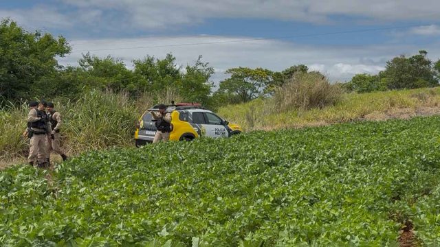 Ocorrencia foi nesta quarta-feira / Foto: Canal HP