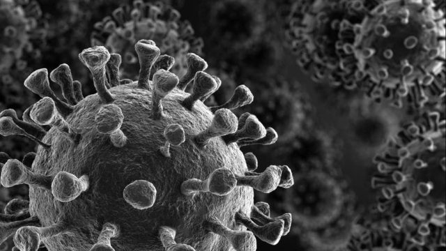 covid/óbito covid/óbito