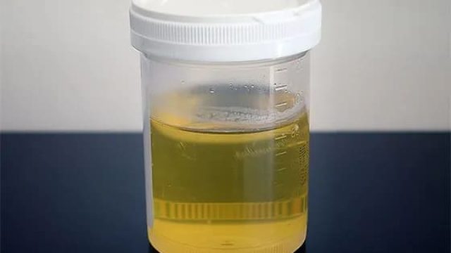 Imagem ilustrativa / Foto: Reprodução / Wikipédia