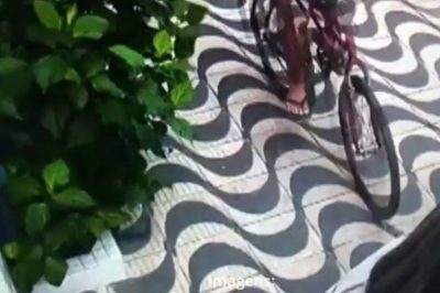 Ladrão usa bicicleta para roubar celular