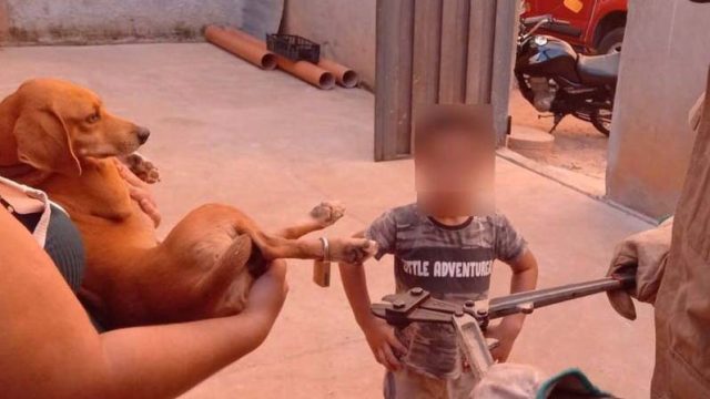 Menino prende cadeado na pata de cachorro