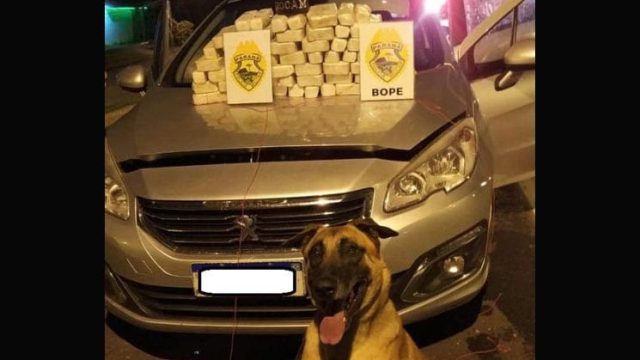 Drogas apreendidas/Foto: Divulgação/Bope