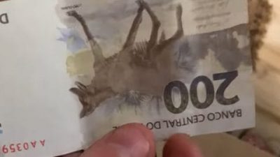 Imagem meramente ilustrativa / Foto: Reprodução