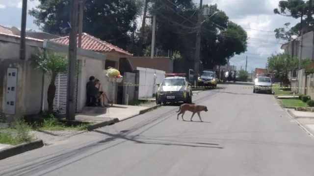 O autor do crime foi levado para o hospital / Foto: Banda B