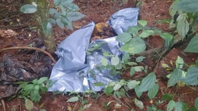 O crânio foi encontrado por um morador que auxilia as equipes de resgate / Foto: Alex William/TV Tarobá