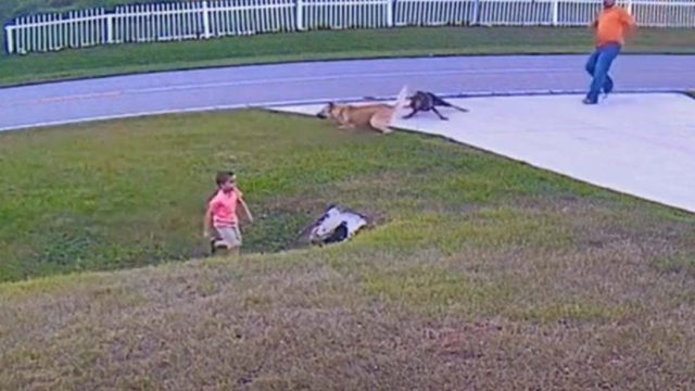 Reprodução Reprodução Tik Tok