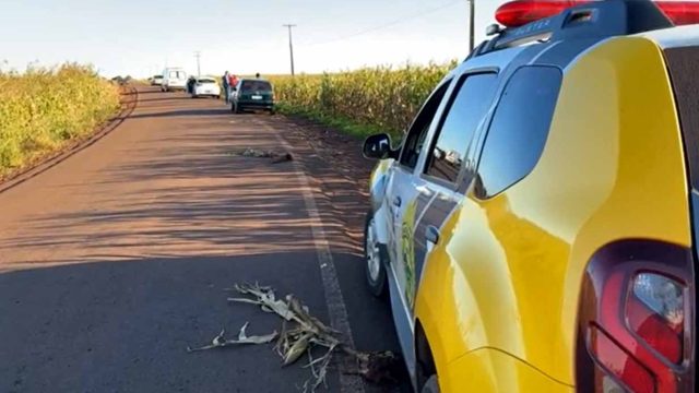 Reproducao-video-Portal-Nova-Santa-Rosa moto acidente