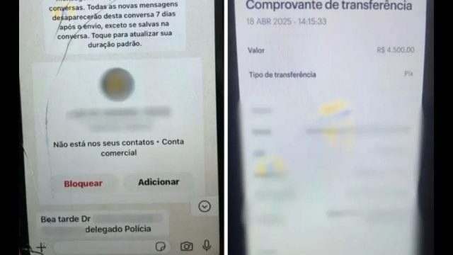 Vítima transferiu o dinheiro pensando se tratar de uma fiança referente ao seu marido / Foto: Divulgação/ Polícia Civil