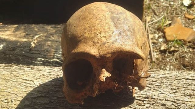 moradores da área encontraram o crânio no Rio 19  que fica na região do Assentamento Nova Itaúna  / Foto: Blog do Berimbau