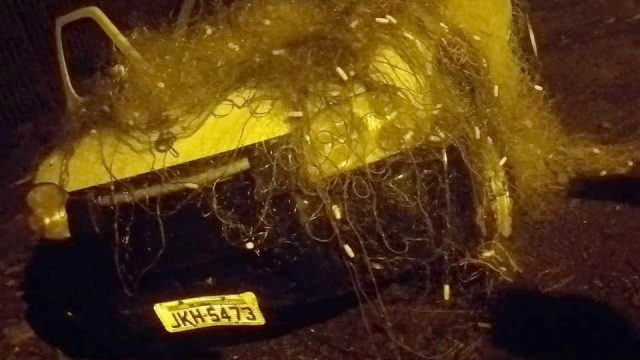 Foram apreendidos 300 metros de rede / Foto: Reprodução