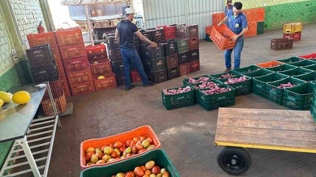 Central da Agricultura Familiar de Ivaiporã comemora crescimento expressivo Divulgação / Foto: CAFI