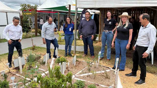 Projeto plantas medicinais / Foto: Ivan Maldonado