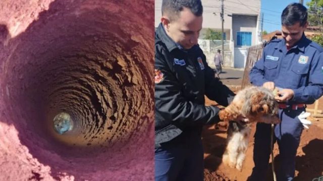 O resgate foi registrado na manhã desta quinta-feira (20)