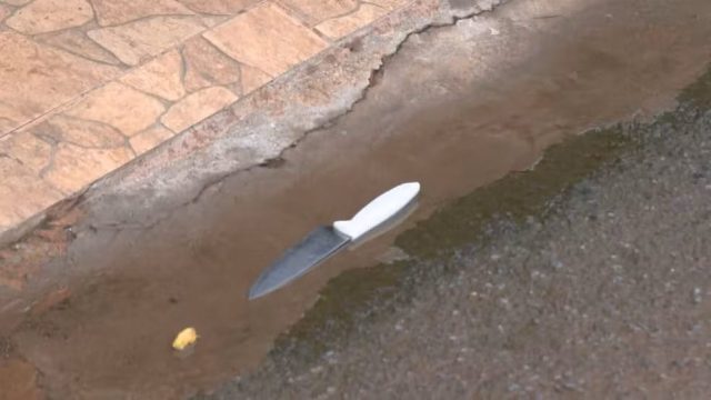 Faca usada por homem que agrediu ex-companheira e é suspeito de envenenar filhos em Ceilândia, no DF — Foto: TV Globo/Reprodução