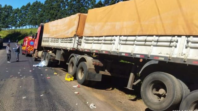 Acidente foi próximo ao trevo de Idamar / Foto: Bombeiros