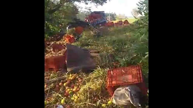 acidente em lidianópolis