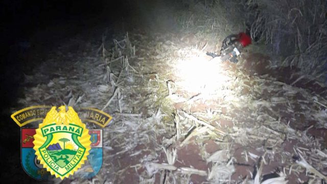 Divulgação / Foto: Polícia Rodoviária