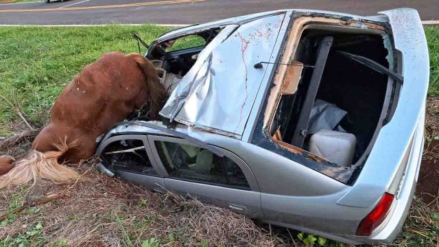 O carro ficou completamento destruído / Foto: Blog do Berimbau