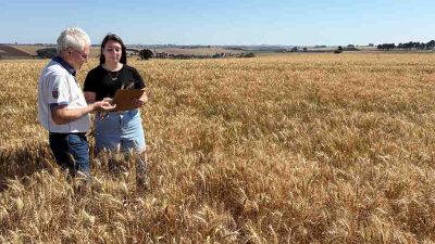 b26e63a5-76d1-4b09-aabf-bdd494d2a6c9 Equipe do Deral realiza levantamentos da safra / Foto: Ivan Maldonado