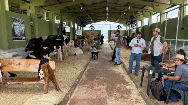 Torneio Leiteiro da 21ª Expovale beneficia famílias atingidas pelo tornado / Foto: Ivan Maldonado