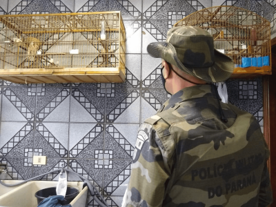 Foto: Divulgação/Polícia Ambiental