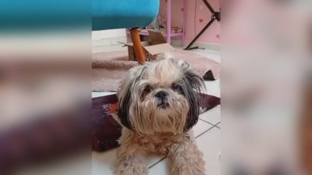 Reprodução / Foto: Redes Sociais