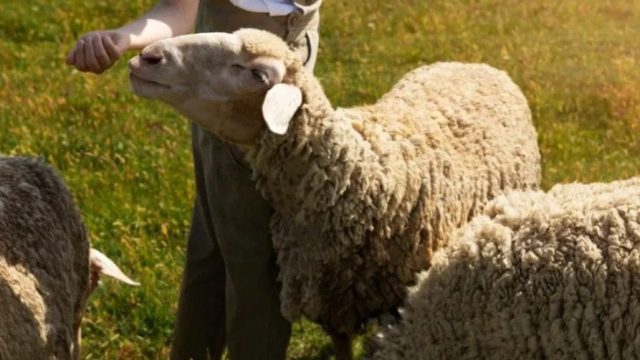 REprodução / Foto: Freepik