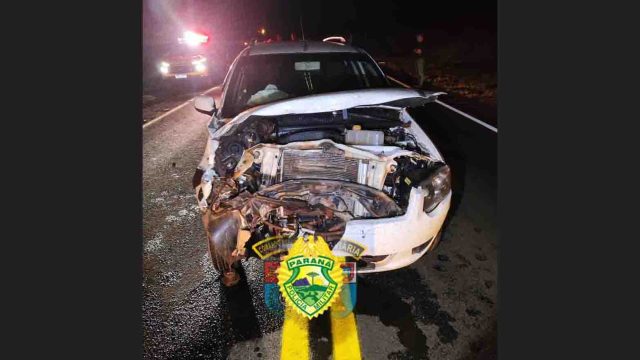 Divulgação / Polícia Rodoviária Estadual