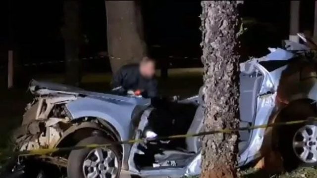 carro bateu árvore