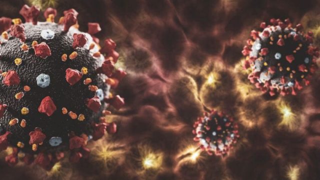 novos casos de Covid-19