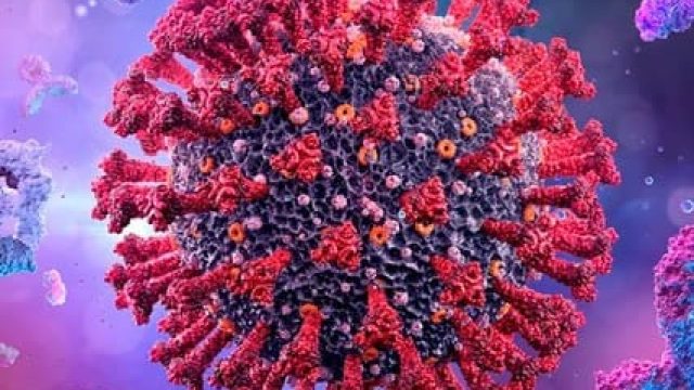 Ivaiporã casos de covid